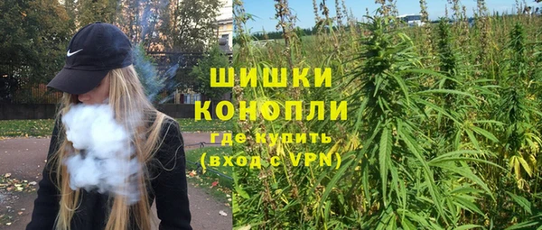 дживик Абинск