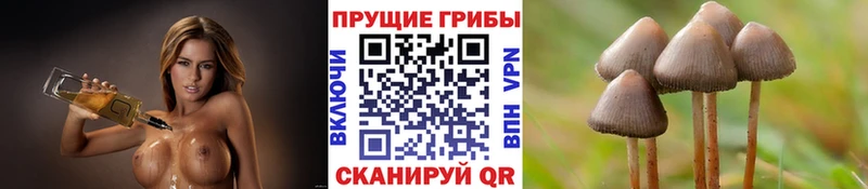 Псилоцибиновые грибы мухоморы  Темников 