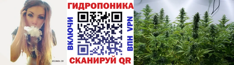 mega tor  Темников  Шишки марихуана White Widow 